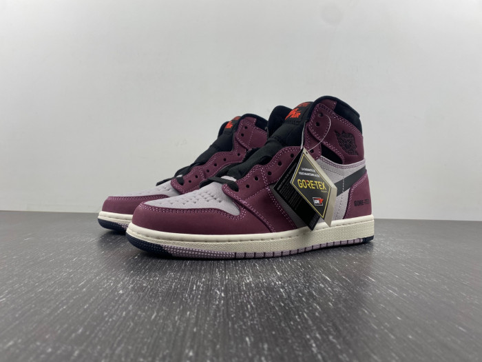 Air Jordan 1 High Element GTX