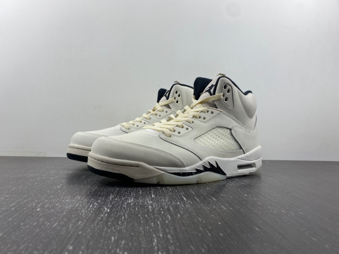 Air Jordan 5 Retro SE
