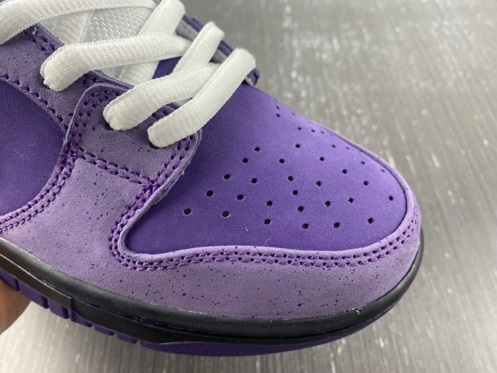 Concepts x Dunk Low SB