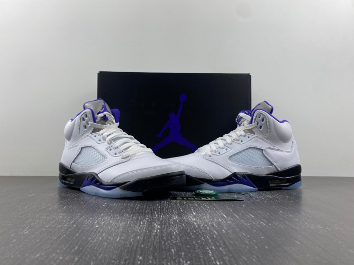 Air Jordan 5 Retro