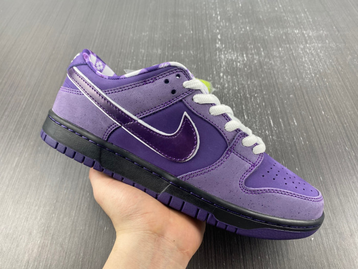Concepts x Dunk Low SB