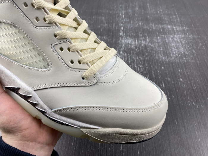 Air Jordan 5 Retro SE