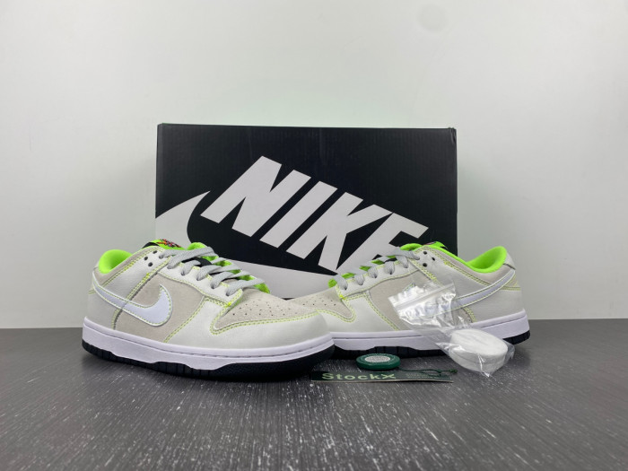 NEW Nike Dunk Low