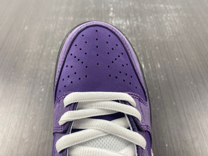Concepts x Dunk Low SB