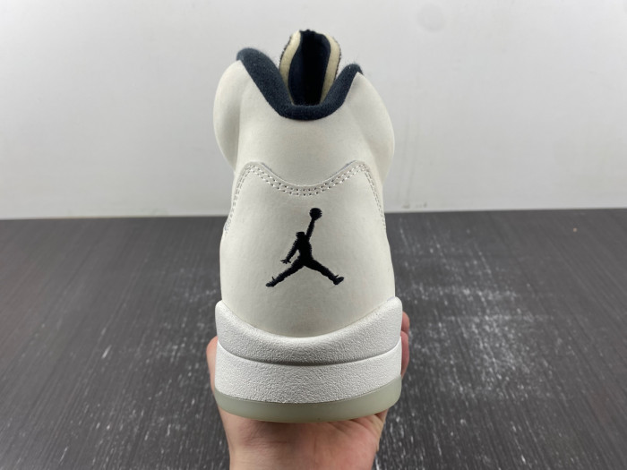 Air Jordan 5 Retro SE