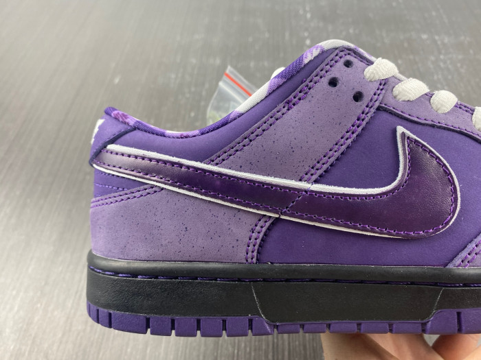 Concepts x Dunk Low SB