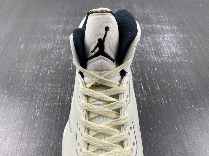 Air Jordan 5 Retro SE
