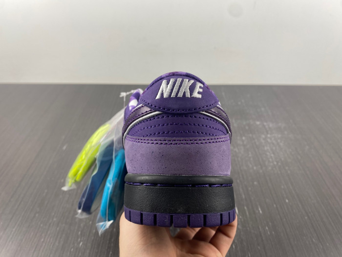 Concepts x Dunk Low SB