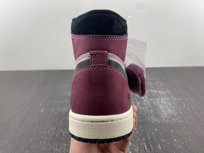 Air Jordan 1 High Element GTX