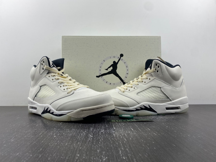 Air Jordan 5 Retro SE