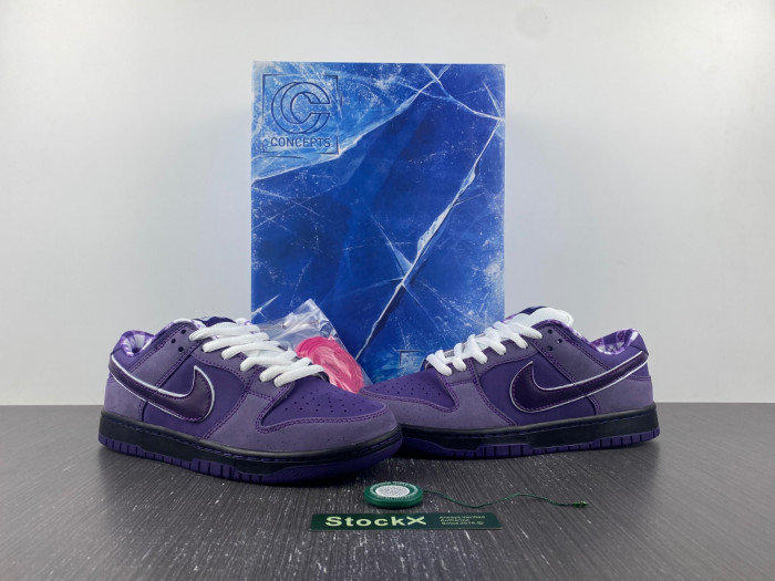 Concepts x Dunk Low SB