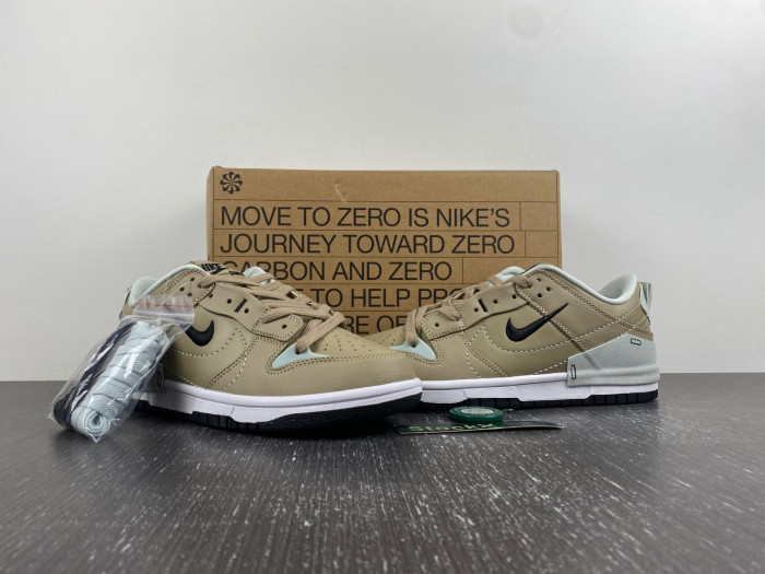 Nike Dunk Disrupt 2