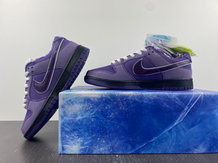 Concepts x Dunk Low SB