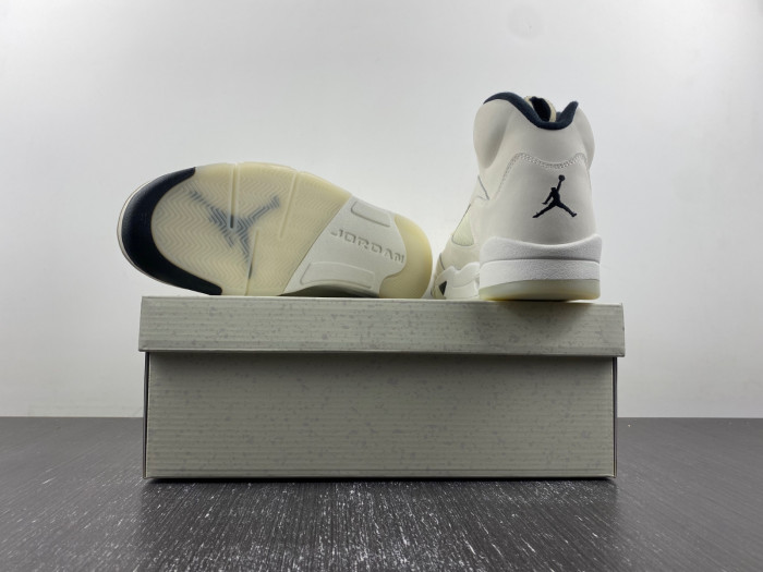 Air Jordan 5 Retro SE