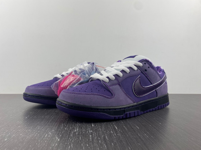 Concepts x Dunk Low SB