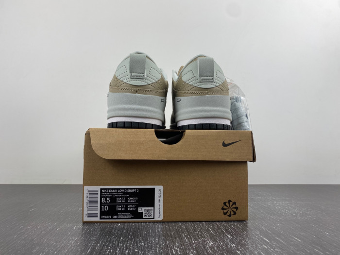 Nike Dunk Disrupt 2