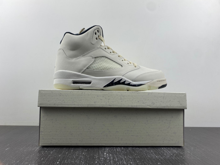 Air Jordan 5 Retro SE