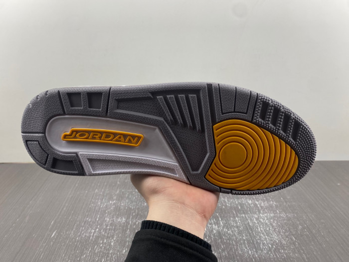 Air Jordan 3 Retro