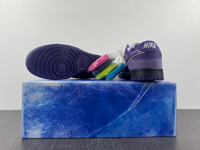 Concepts x Dunk Low SB