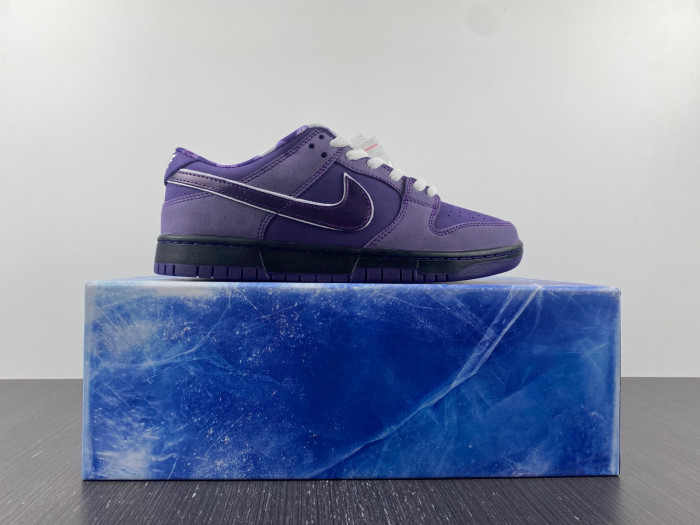 Concepts x Dunk Low SB