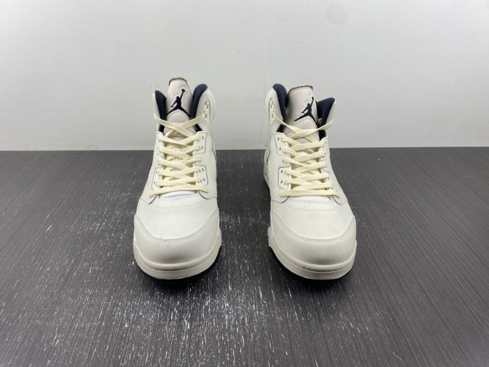 Air Jordan 5 Retro SE