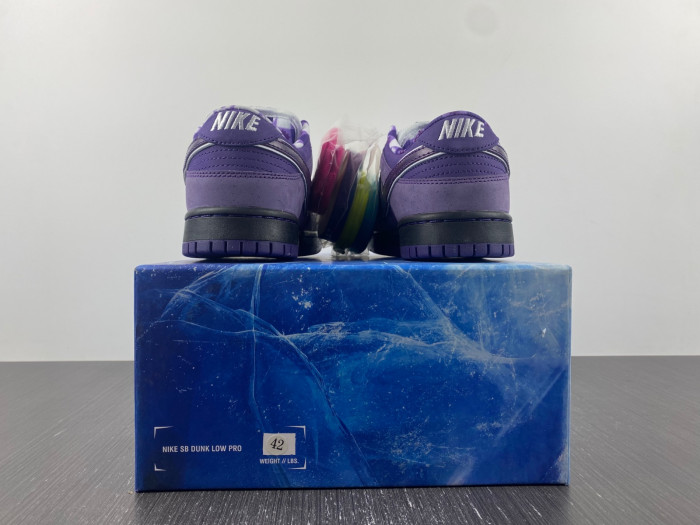 Concepts x Dunk Low SB