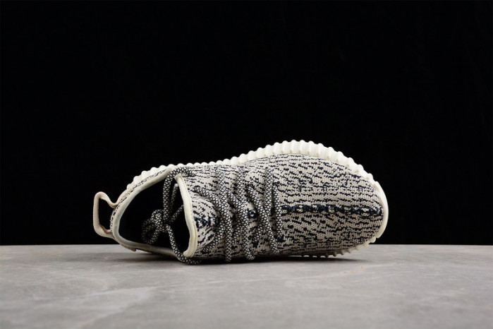 ADIDAS YEEZY BOOST 350 "TURTLE DOVE" AQ4832