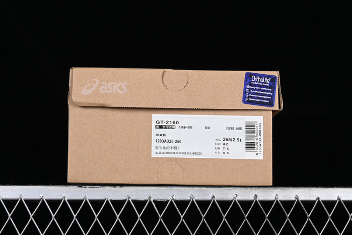 ASICS Gel-2160 Oatmeal Simply Taupe 1203A320-250