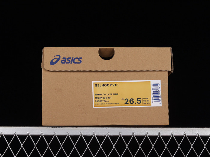 Asics Gelhoop V13 