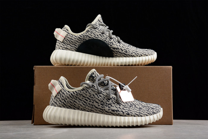 ADIDAS YEEZY BOOST 350 "TURTLE DOVE" AQ4832