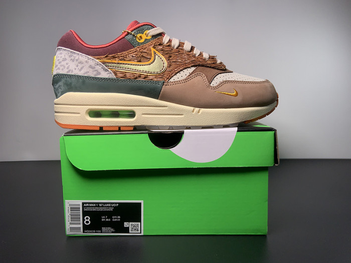 Nike Air Max 1