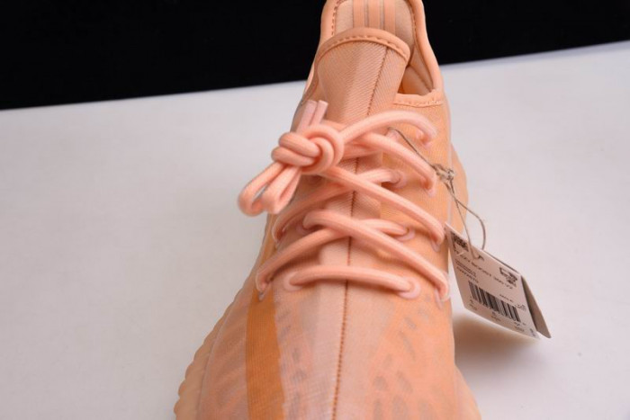 Adidas Yeezy Boost 350 V2 "Ash Pearl" GW2870